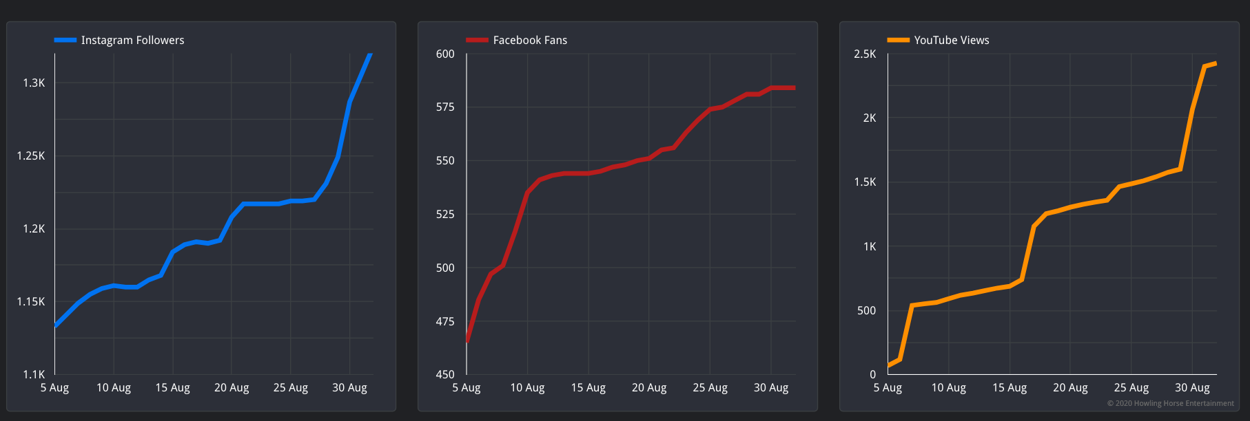 Facebook, Instagram & YouTube Results